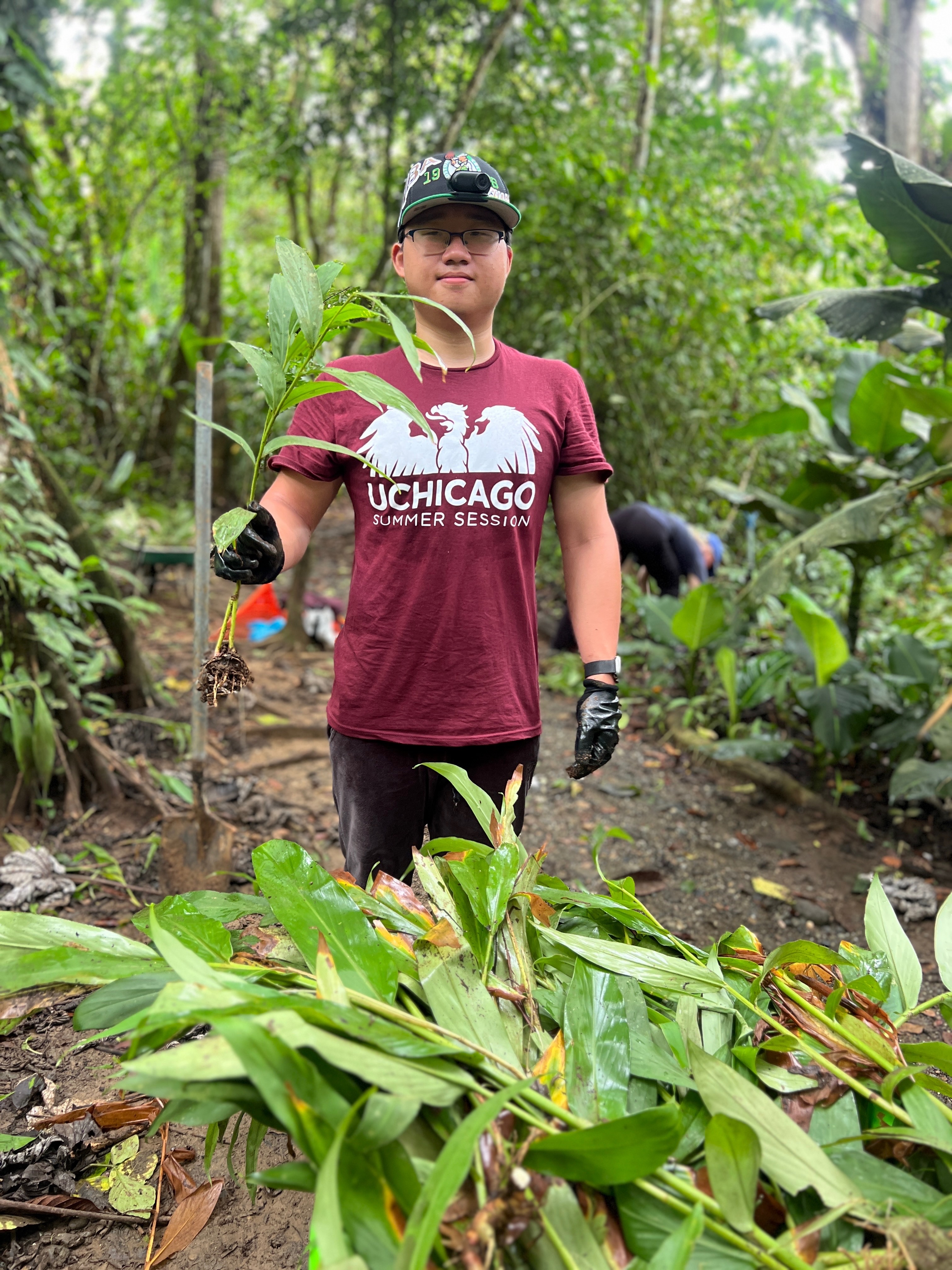 removing invasive plants from Nepal